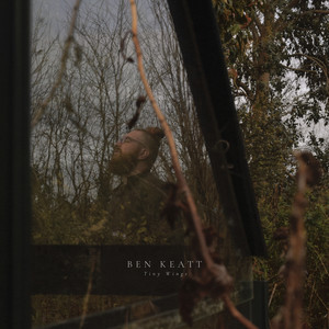Tiny Wings by Ben Keatt
