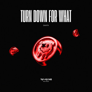 Turn Down for What - Extended Mix by DAXTX