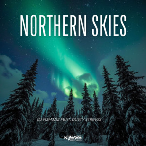 Northern Skies