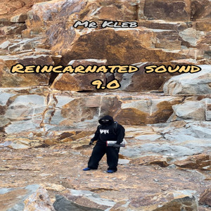 Reincarnated Sound 9.0 by Mr Kleb