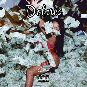 Dolares by Cussi
