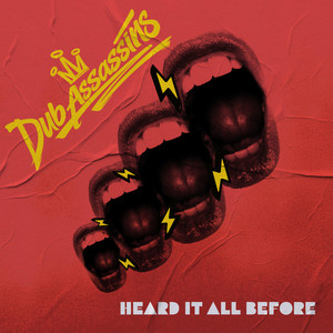 Heard It All Before by Dub Assassins
