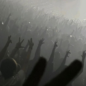 MOSHPIT