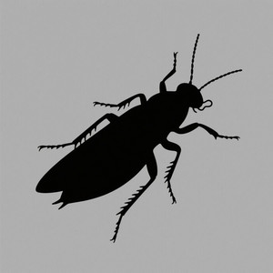 Neutral Insect by CLUE BAND