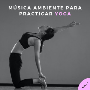 Música Ambiente Para Practicar Yoga Vol. 1 album