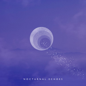 Nocturnal Echoes by S Dedalus