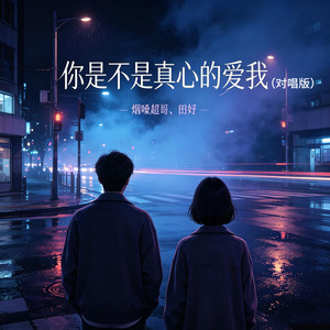 你是不是真心的爱我 - 对唱版 by 烟嗓超哥, 田妤