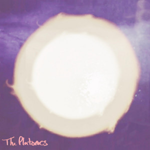 Singer by The Platonics