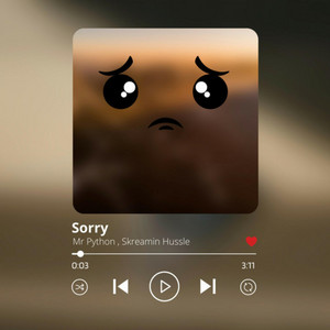 Sorry - Radio Edit by Mr Python, Skreamin Hussle