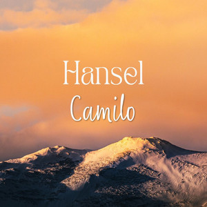on the Counter by Hansel Camilo