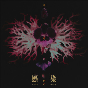 安次嶺希和子 | Spotify