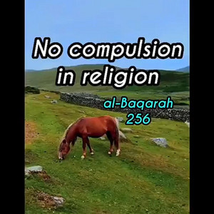 2, Surah Al-Baqarah: 256 by mylordtakemeaway