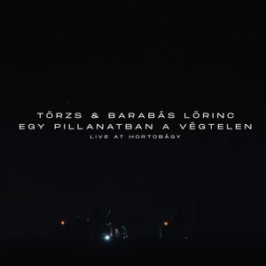 Törzs — Egy Pillanatban A Végtelen (Live at Hortobágy) (2026)