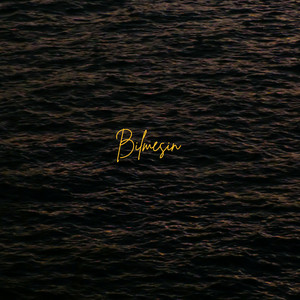 Bilmesin by Berker Kandora