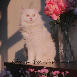 When the Ocean Froze