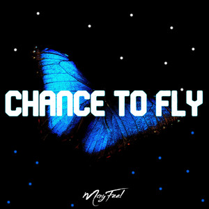 Kevin a Perry - CHANCE TO FLY