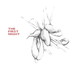 The First Night by Laurie Corlett-Donald
