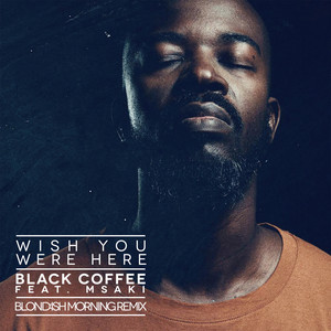 Wish You Were Here (feat. Msaki) - Blond:ish Morning Remix Edit by Blond:ish cover art