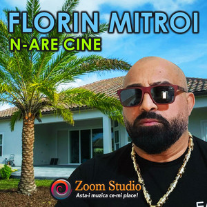 Florin Mitroi - N-are cine
