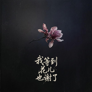 我等到花儿也谢了 by Lou Yi