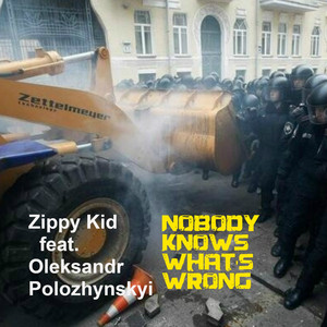 Nobody Knows Whats Wrong (feat.Oleksandr Polozhynskyi )