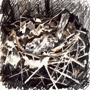nest by harenuki