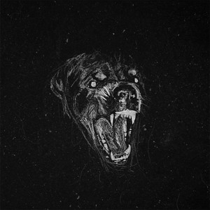 Feed by D.O.G.S
