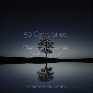 50 Canciones Para Desestresarse (En Bucle)
