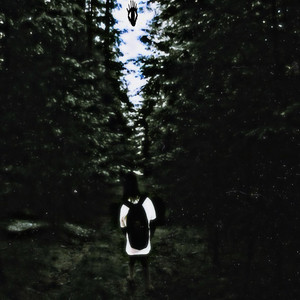 Forest love
