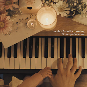 album cover: Twelve Months Slowing