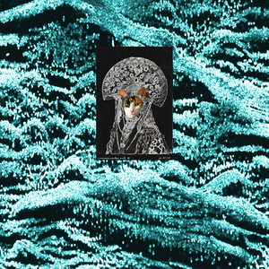 album cover: COSMICOOKS vol. 8