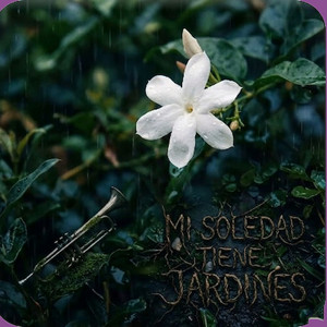 MI SOLEDAD TIENE JARDINES by SABRINA CORAL