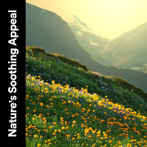 Nature's Soothing Appeal album