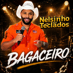 Bagaceiro by Nelsinho dos teclados