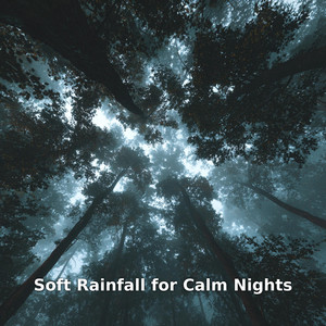 Soft Rainfall for Calm Nights