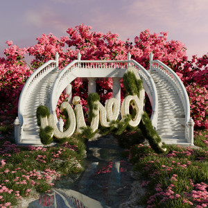 D4NYO — Tapinda (2026)