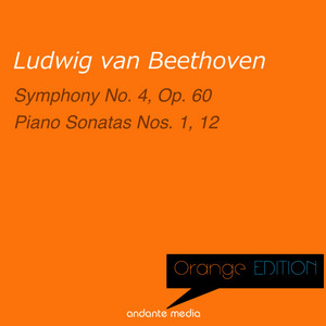 Paul Badura-Skoda | Spotify