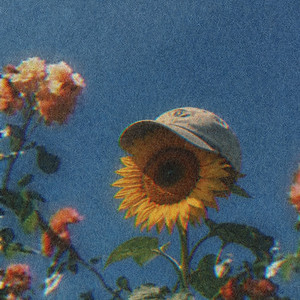 Sunflower by oftn, yuenn