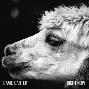 Run by David Carter