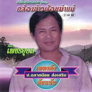 ป.ฉลาดน้อย ส่งเสริม - ลำเรื่องต่อกลอนเรื่อง กล่องข้าวน้อยฆ่าแม่ 1