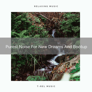 Purest Noise For New Dreams And Bootup album
