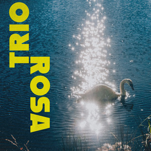 Let's Be In Love by Trio Rosa