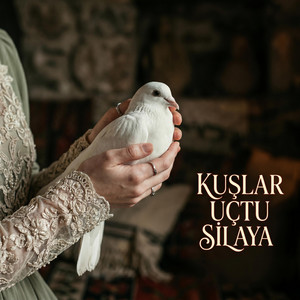 Kuşlar Uçtu Yuvaya by Anadolu Folk Music