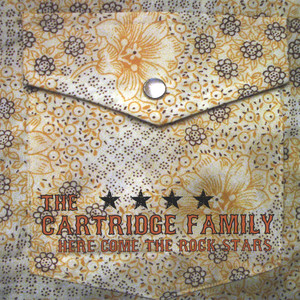 The Cartridge Family artist photo