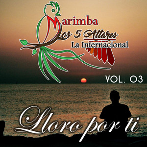 Marimba Los 5 Altares la Internacional - Lloro Por Ti