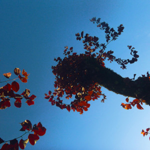 it'll always get better