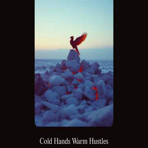 Cold Hands Warm Hustles by Echo Wane