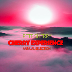 Paralysis (Edit) by Pete Sherry