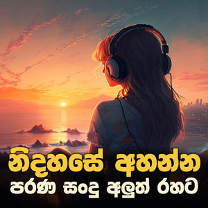 is sudath - Golden Night Vibes (zdsinhala)