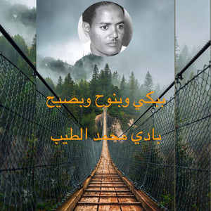 Badi Mohamed Altayeb - ببكي وبنوح وبصيح
